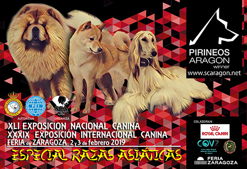 CARTEL ZARAGOZA 2019